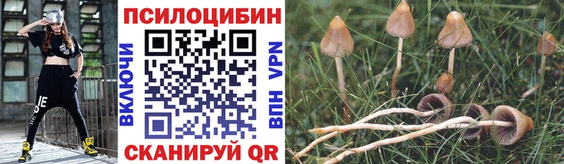 Псилоцибиновые грибы ЛСД  Купить  Каменск-Уральский 